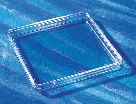 Nunc&#174; Bioassay Dish（バイオアッセイ皿） with lid, L × W × H 245&#160;mm × 245&#160;mm × 25&#160;mm