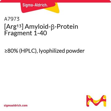 [Arg13] Amyloid-&#946;-Protein Fragment 1-40 &#8805;80% (HPLC), lyophilized powder