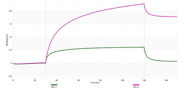 Anti-Annexin A2 Antibody, clone 1C4 ZooMAb&#174; Rabbit Monoclonal recombinant, expressed in HEK 293 cells