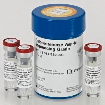 Endoproteinase Asp-N de grau para sequenciamento from Pseudomonas fragi