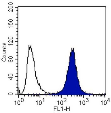 Anticuerpo anti-integrina &#945;3, clon P1B5, sin azida clone P1B5, Chemicon&#174;, from mouse