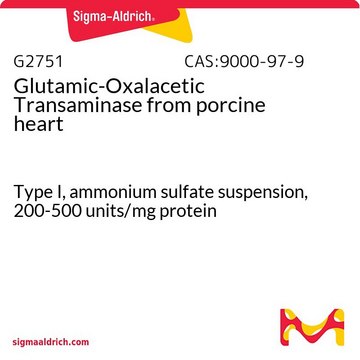 グルタミン酸-オキサロ酢酸トランスアミナーゼ ブタ心臓由来 Type I, ammonium sulfate suspension, 200-500&#160;units/mg protein