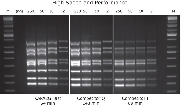 Miscela KAPA2G Fast Multiplex suitable for PCR, 2&#160;×