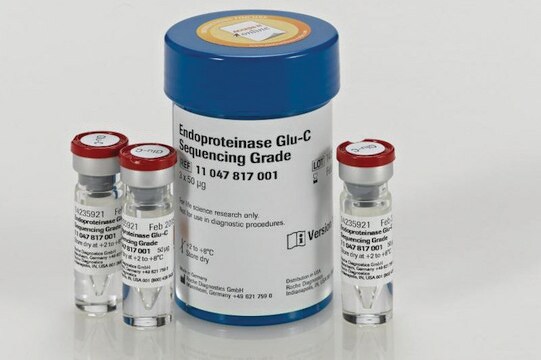 Endoproteinase Glu-C de grau para sequenciamento from Staphylococcus aureus V8