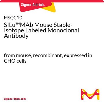 8208MAbmysie przeciwciało monoklonalne znakowane stabilnym izotopem from mouse, recombinant, expressed in CHO cells