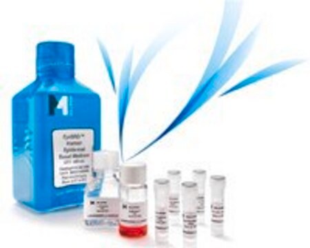 FIBROGRO&#174; Komplettmedien-Kit für Kulturen humaner Fibroblasten The FibroGRO Media provide an optimal cell culture environment for many types of human fibroblasts &amp; mouse embryonic fibroblasts.