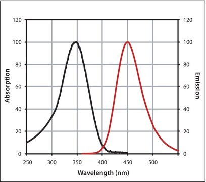 Anti-Rat IgG (H+L), highly cross-adsorbed, CF&#8482; 350 antibody produced in goat ~2&#160;mg/mL, affinity isolated antibody