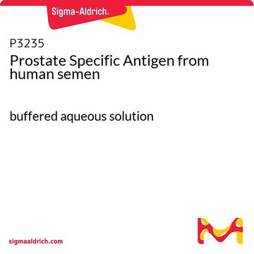 Prostataspezifisches Antigen aus Humansperma buffered aqueous solution