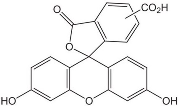 5(6)-karboksyfluoresceina Novabiochem&#174;