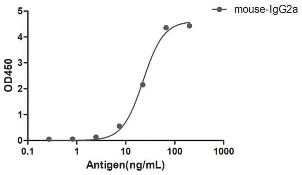 Goat Anti-Mouse IgG2a(Fc&#947;) Alpaca Heavy chain only Antibody recombinant Alpaca(VHH) Nano antibody