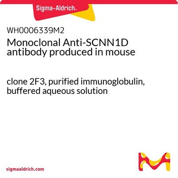 Monoclonal Anti-SCNN1D antibody produced in mouse clone 2F3, purified immunoglobulin, buffered aqueous solution