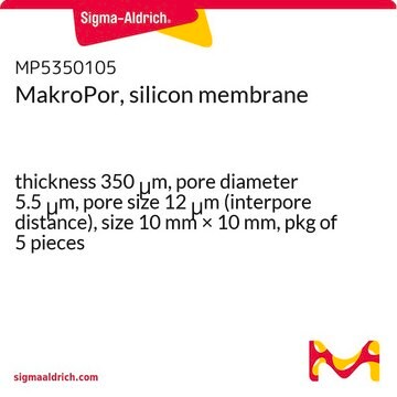 MakroPor, silicon membrane thickness 350&#160;&#956;m, pore diameter 5.5&#160;&#956;m, pore size 12&#160;&#956;m (interpore distance), size 10&#160;mm × 10&#160;mm, pkg of 5&#160;pieces