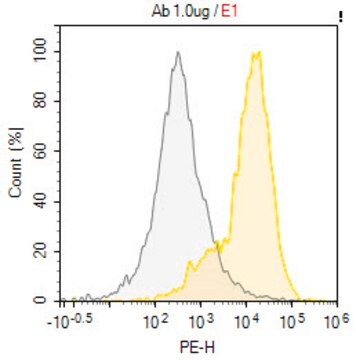 Anti-H2-Kb Antibody, clone 25D1.16