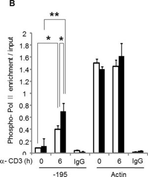 Anticuerpo anti-ARN polimerasa II, clon CTD4H8 clone CTD4H8, Upstate&#174;, from mouse