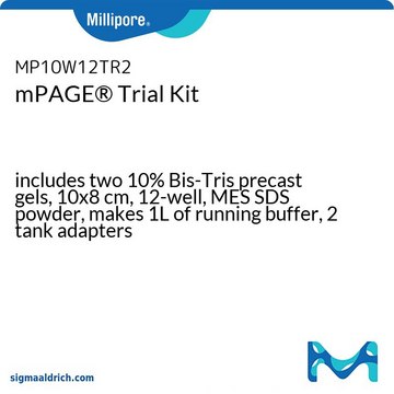 Kit di prova mPAGE&#174; includes two 10% Bis-Tris precast gels, 10x8 cm, 12-well, MES SDS powder, makes 1L of running buffer, 2 tank adapters