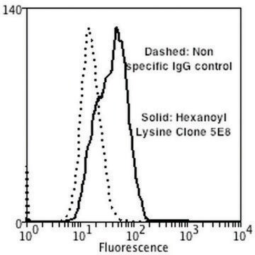 Monoclonal Anti-Hexanoyl-Lysine adduct-Biotin antibody produced in mouse clone 5E8