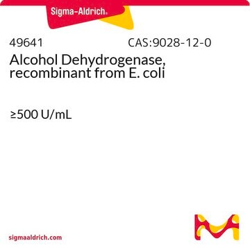 Alcohol Dehydrogenase, recombinant from E. coli &#8805;500&#160;U/mL