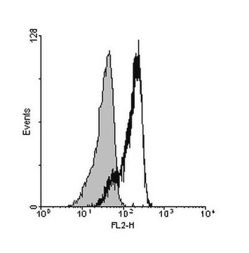 Przeciwciało przeciwko interleukinie 23 alfa (IL-23A) from rabbit, purified by affinity chromatography