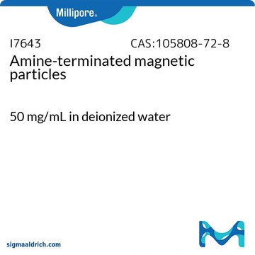 Magnetische Partikel, Amin-Endgruppen 50&#160;mg/mL in deionized water