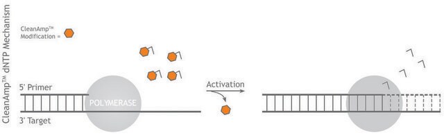 CleanAmp&#8482; dNTP 10 &#956;mol of each dNTP, Modified dNTP set for hot-start PCR