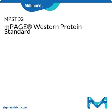 mPAGE&#174;免疫印迹蛋白质标准品