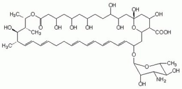 制霉菌素，诺尔斯链霉菌 A polyene antifungal antibiotic effective against yeast and mycoplasma.