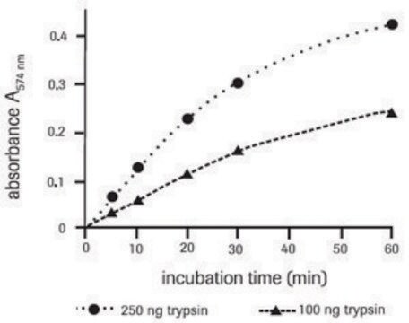 ユニバーサルプロテアーゼ基質 lyophilized, suitable for detection, pkg of 40&#160;mg (40 &#956;mol; 100mM)