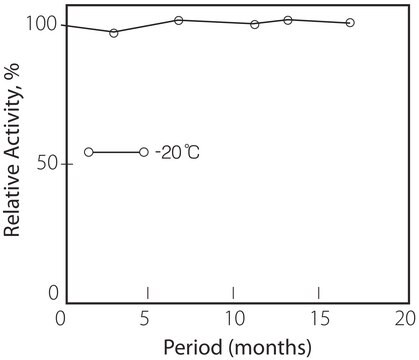 ピルビン酸オキシダーゼ 細菌 lyophilized powder, &#8805;1.5&#160;U/mg