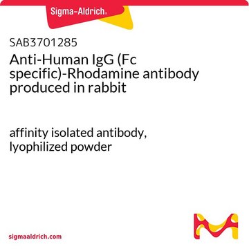 Anti-Human IgG (Fc specific)-Rhodamine antibody produced in rabbit affinity isolated antibody, lyophilized powder