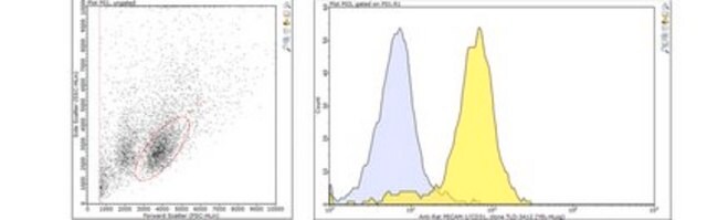 Anticorpo anti-PECAM-1 (CD31), clone TLD-3A12 clone TLD-3A12, from mouse