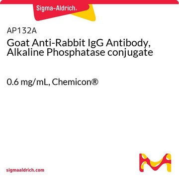 Anticorps de chèvre anti-IgG de lapin, conjugué à la phosphatase alcaline 0.6&#160;mg/mL, Chemicon&#174;