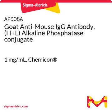 Anti-Maus-IgG-Antikörper der Ziege, (H+L) alkalisches Phosphatase-Konjugat 1&#160;mg/mL, Chemicon&#174;