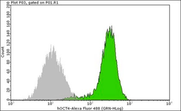 &#8482; clone 10H11.2, from mouse, ALEXA FLUOR&#8482; 488