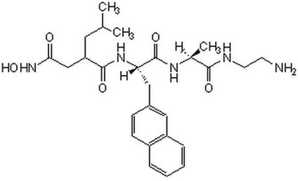 InSolution TAPI-1, Calbiochem InSolution, &#8805;97%, inhibits MMPs and TACE