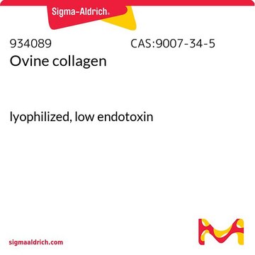 Ovine collagen lyophilized, low endotoxin