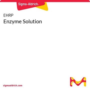 Enzyme Solution