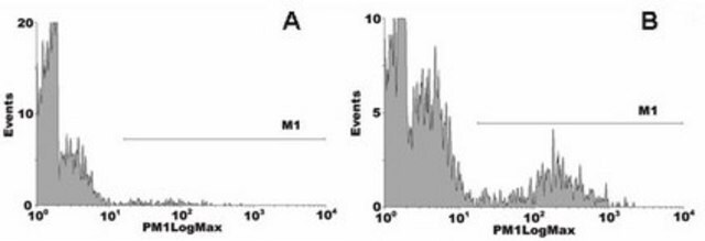 Anticorps anti-phosphatidylsérine, clone 1H6 clone 1H6, Upstate&#174;, from mouse