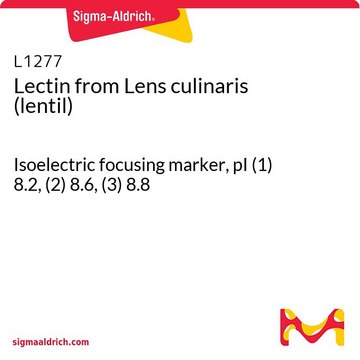 Lectin from Lens culinaris (lentil) Isoelectric focusing marker, pI&#160;(1) 8.2, (2) 8.6, (3) 8.8