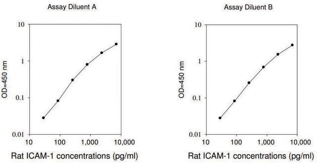 Rat ICAM-1 ELISA Kit for serum, plasma and cell culture supernatant