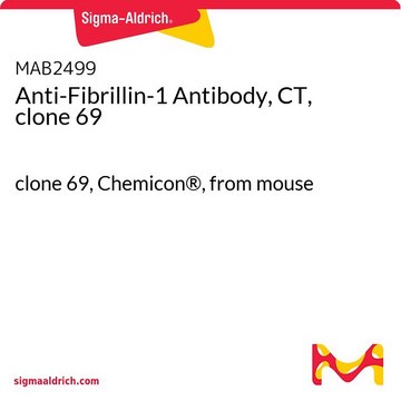 Anti-Fibrillin-1 Antibody, CT, clone 69 clone 69, Chemicon&#174;, from mouse