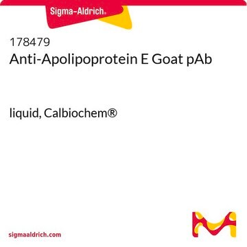 Anty-Apolipoproteina E kozie pAb liquid, Calbiochem&#174;