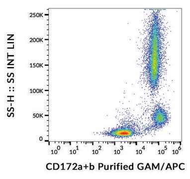 Monoclonal Anti-CD172a/b antibody produced in mouse clone SE5A5