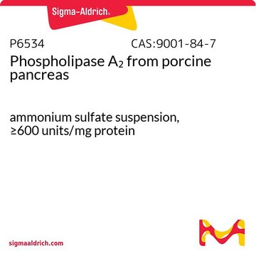 Phospholipase&nbsp;A2 aus Schweinepankreas ammonium sulfate suspension, &#8805;600&#160;units/mg protein