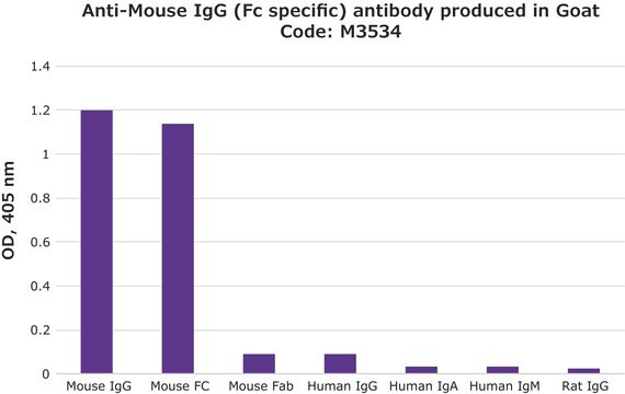 抗マウスIgG (Fc特異的) ヤギ宿主抗体 2.0&#160;mg/mL, affinity isolated antibody