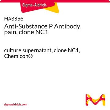 Anticorps anti-substance&nbsp;P (douleur), clone&nbsp;NC1 culture supernatant, clone NC1, Chemicon&#174;