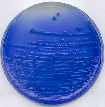 China-blue lactose agar suitable for microbiology