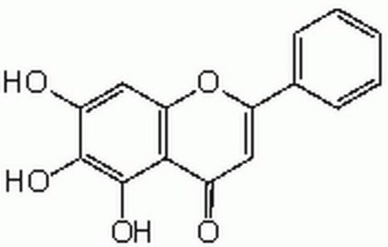 Baicalein A cell-permeable flavone that inhibits the activity of 12-lipoxygenase (IC&#8325;&#8320;= 120 nM) and reverse transcriptase.