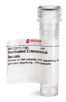 Inaktywowany Enterococcus faecalis Suitable for DNA extraction, PCR, sequencing, next generation sequencing, &gt;10^8 bacteria/ml