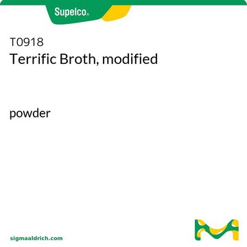 Bouillon&nbsp;Terrific, modifié powder