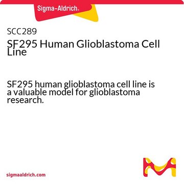 Ludzka linia komórkowa glejaka SF295 SF295 human glioblastoma cell line is a valuable model for glioblastoma research.